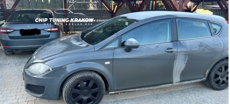 usuwanie dpf egr seat leon