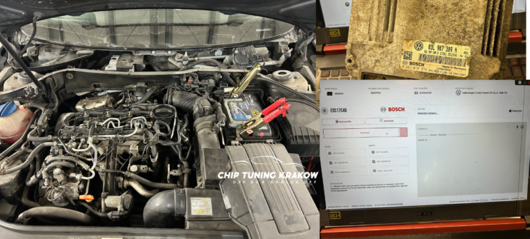 passat dpf egr off